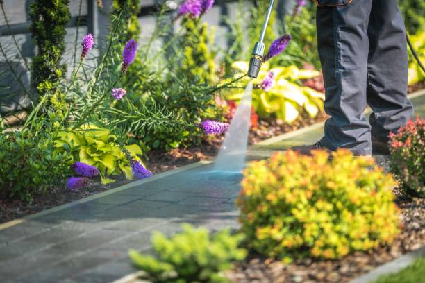 Reliable Mount Vernon, GA  Pressure Washing Services Solutions